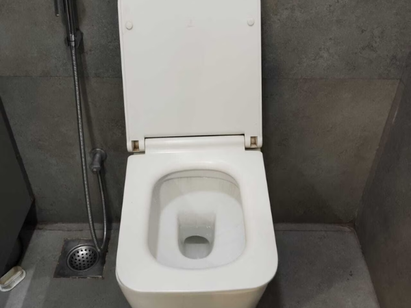 Commandar Flush Tank Repair